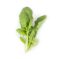 Семена шпината Игл F1 фото 2