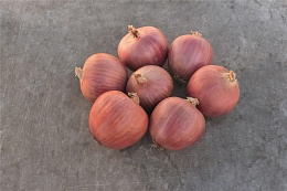 Лук Блаш F1 фото 1