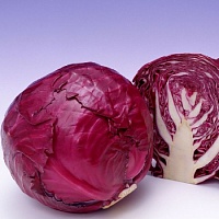 Капуста Варна F1 фото 2