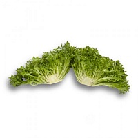 Салат Экспертайз F1 фото 2