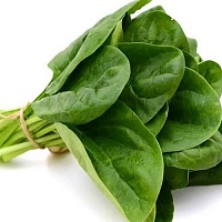 Семена шпината Клиппер F1 фото 2